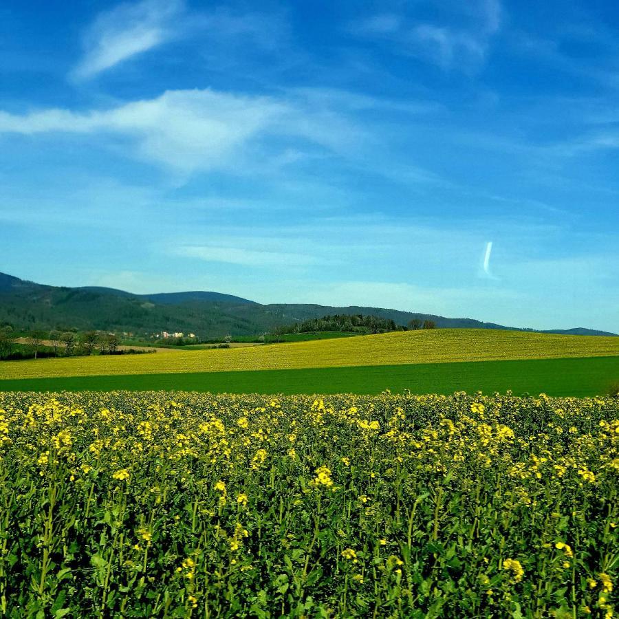 Agroturystyka Sielska Kraina Zabkowice Slaskie Exterior foto